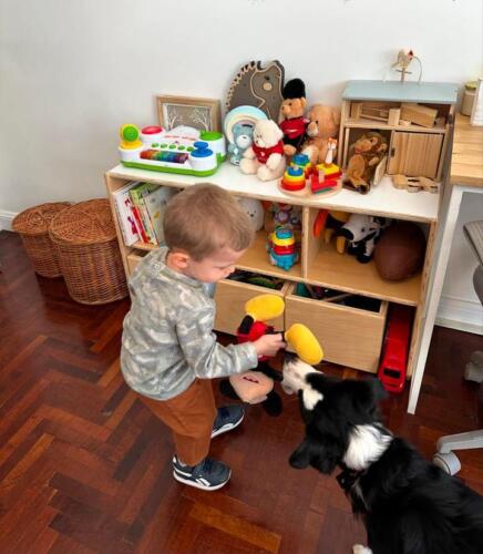 Bilene Deco Kids - Cama Evolutiva Montessori